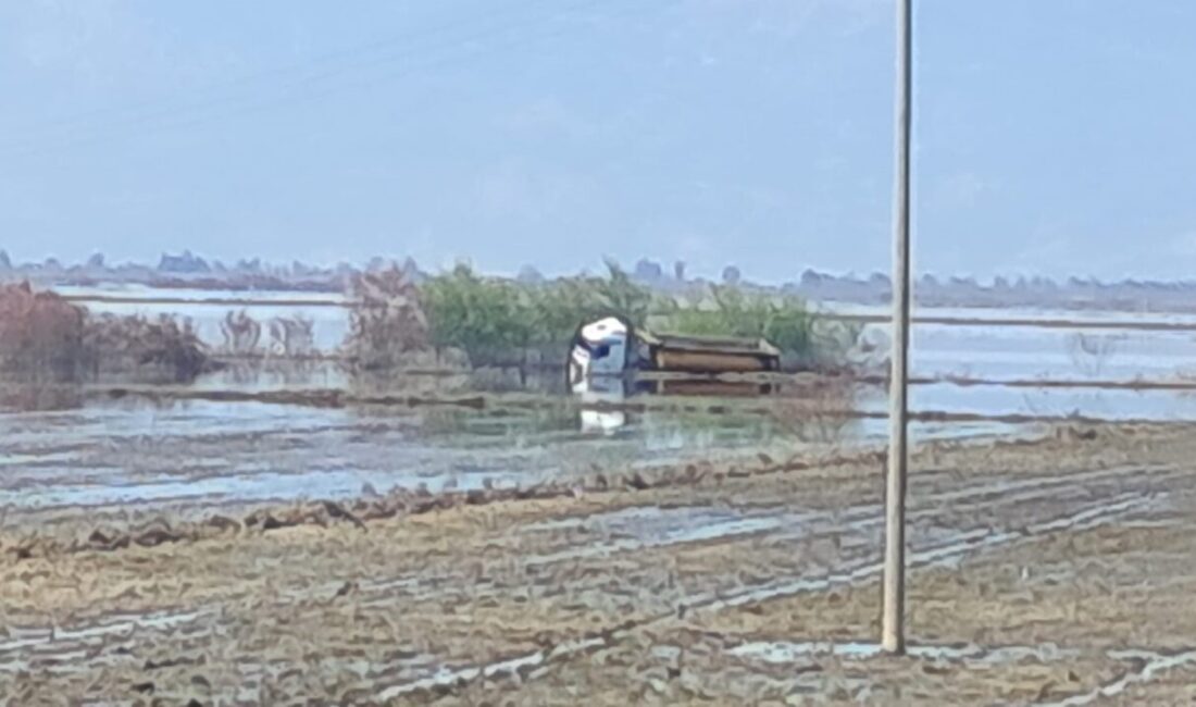 Aydın’ın Söke ilçesinde taşkın sularının kapladığı ovada yan yatarak mahsur