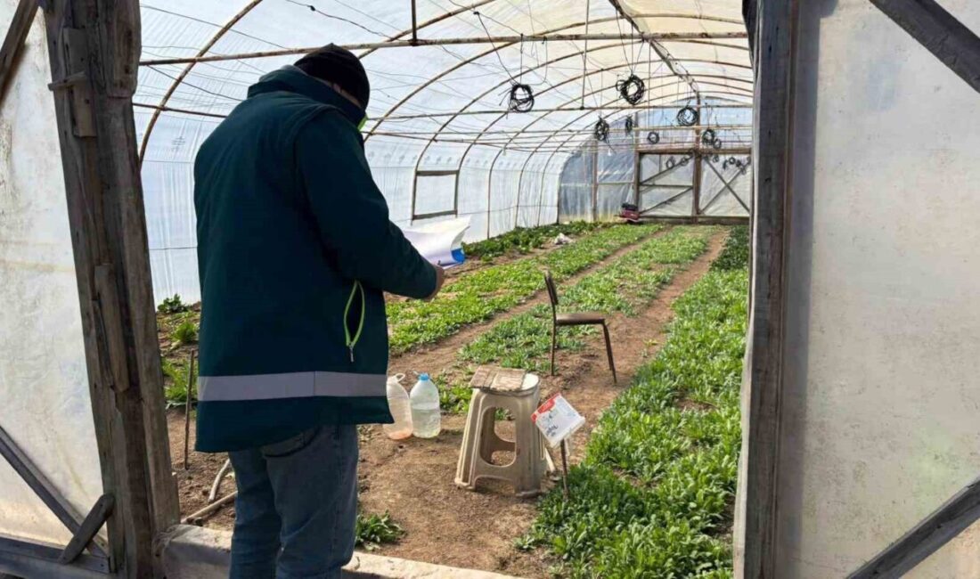 Kütahya’nın Tavşanlı ilçesinde Tarım ve Orman Bakanlığı tarafından yürütülen Kapalı