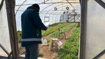 Kütahya’nın Tavşanlı ilçesinde Tarım ve Orman Bakanlığı tarafından yürütülen Kapalı