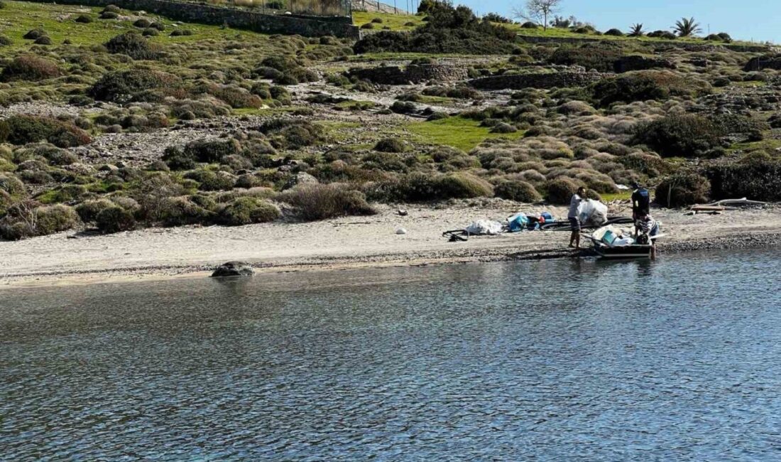 Muğla’nın Bodrum ilçesinde üç vatandaş, tilkişen otu toplamak için gittikleri