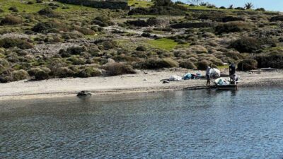 Muğla’nın Bodrum ilçesinde üç vatandaş, tilkişen otu toplamak için gittikleri