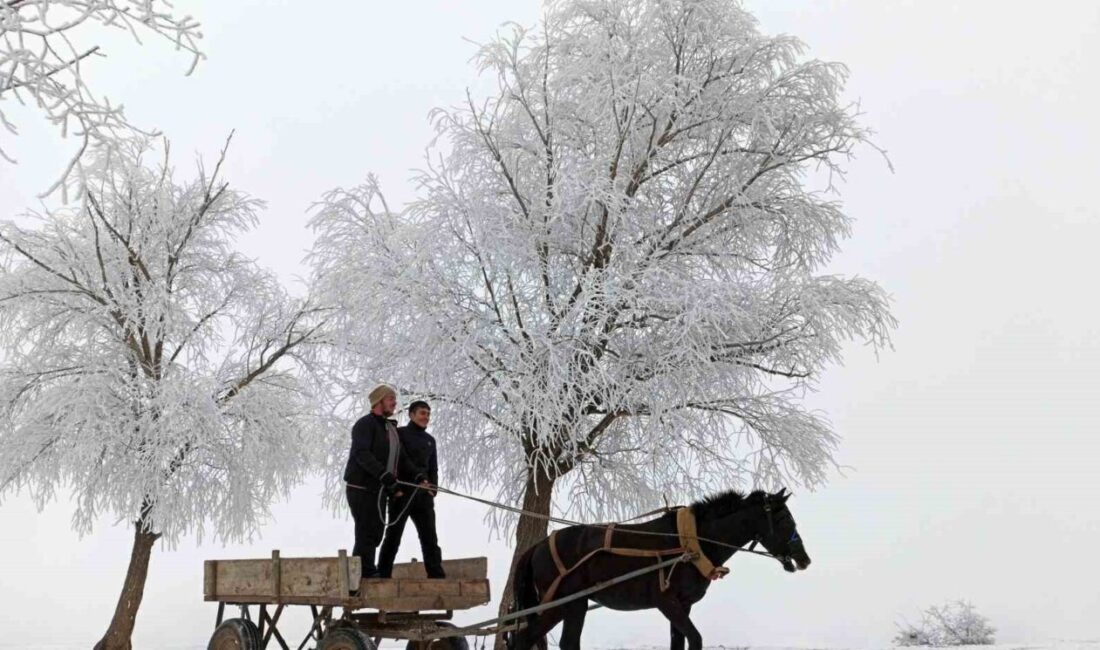 Meteoroloji Genel Müdürlüğü verilerine göre Türkiye’de 8 Mart 2026 saat