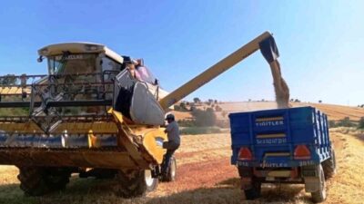 Hayvancılık sektörünün vazgeçilmez ürünlerinden yem bitkisi üretiminde Samsun, Türkiye’nin öncüsü