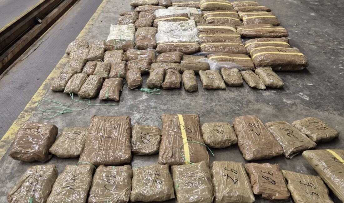 Edirne Kapıkule Sınır Kapısına gelmeye çalışan bir otomobilin arka tampon