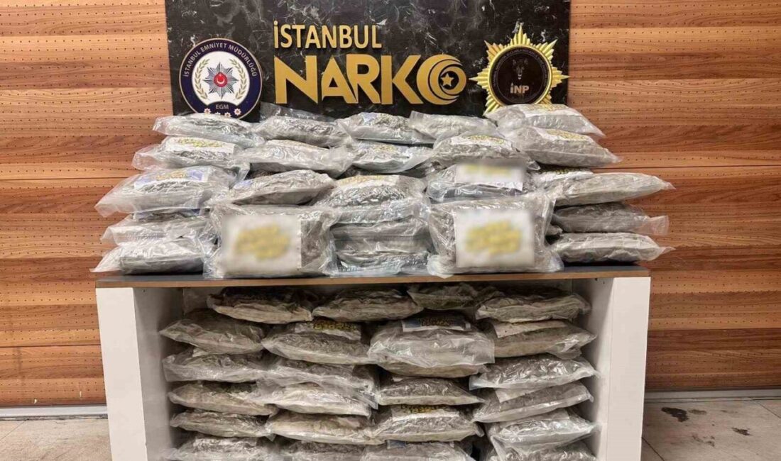 Tuzla’da düzenlenen uyuşturucu operasyonunda 51 kilo 550 gram skunk ele