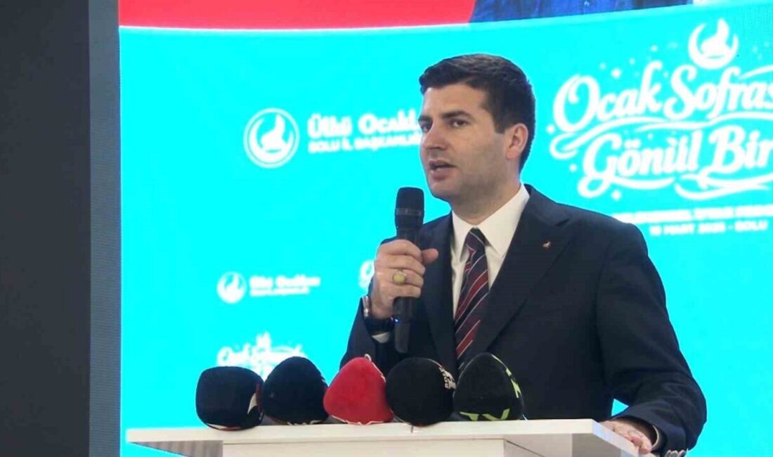 Ülkü Ocakları Genel Başkanı Ahmet Yiğit Yıldırım, “Sınırlarımız dışında yaşanan