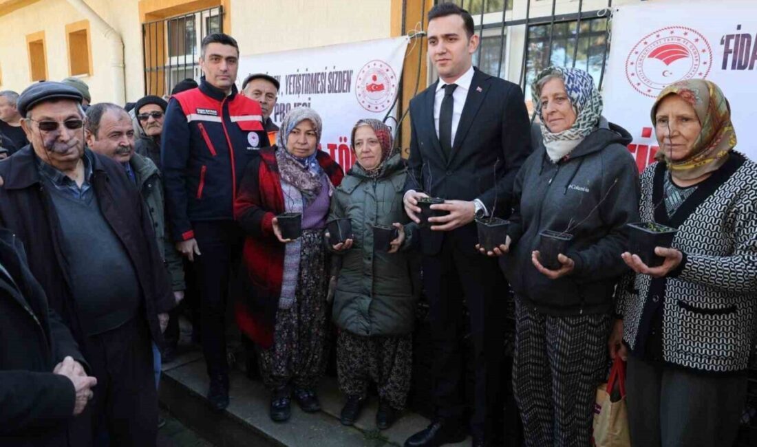 Afyonkarahisar’ın Sultandağı ilçesinde üreticilere ücretsiz dikensiz ay çeşidi kuşburnu fidanı