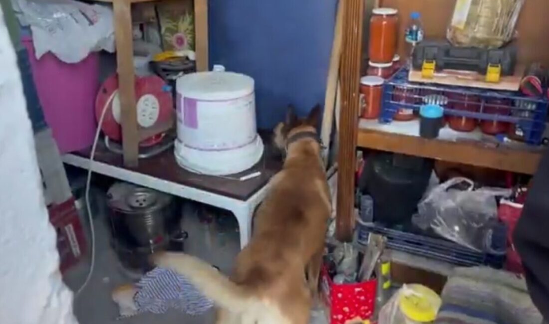 Kayseri’de uyuşturucu ticareti yaptıkları iddiasıyla yargılanan sanıklardan S.Y., 14 yıl