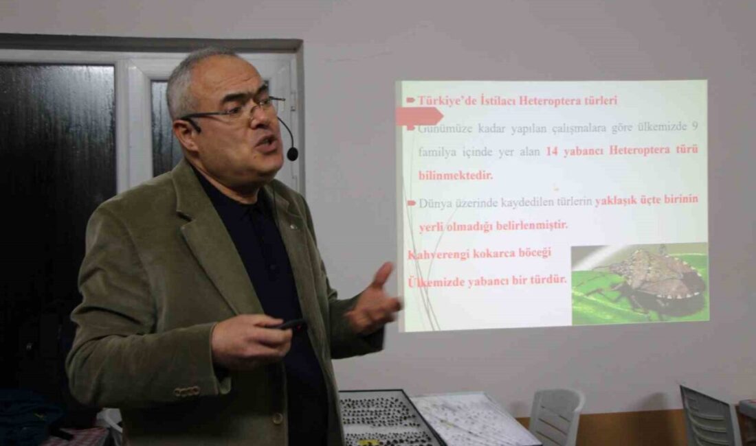 Karadeniz Bölgesi’nde özellikle fındık üreticisinin kâbusu haline gelen kahverengi kokarcanın