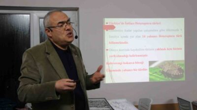 Karadeniz Bölgesi’nde özellikle fındık üreticisinin kâbusu haline gelen kahverengi kokarcanın