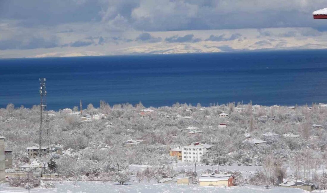 Van YYÜ Edebiyat Fakültesi Coğrafya Bölümü Öğretim Üyesi Prof. Dr.