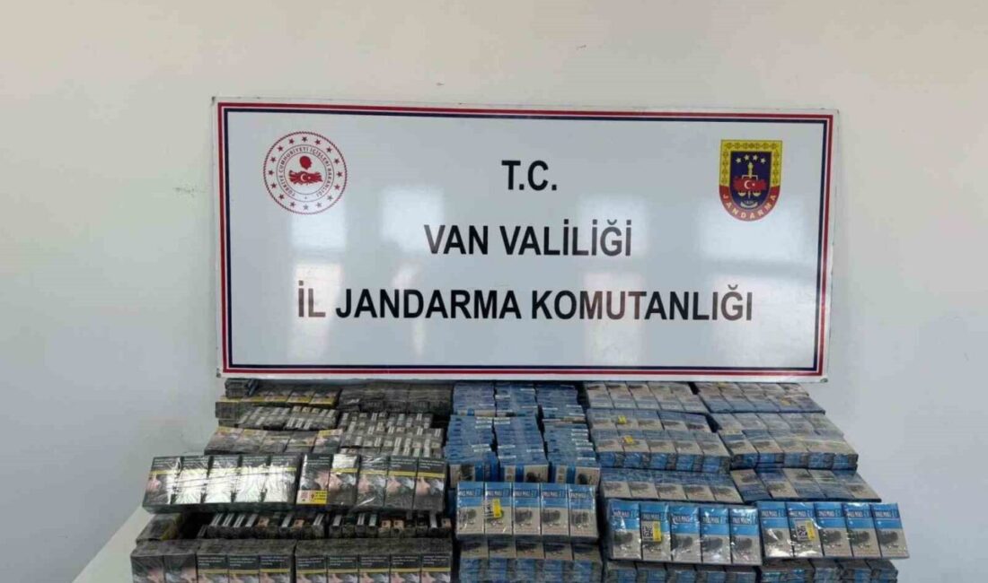 Van’ın Erciş ve Başkale ilçesinde jandarma ekiplerince yürütülen çalışmalar sonucunda