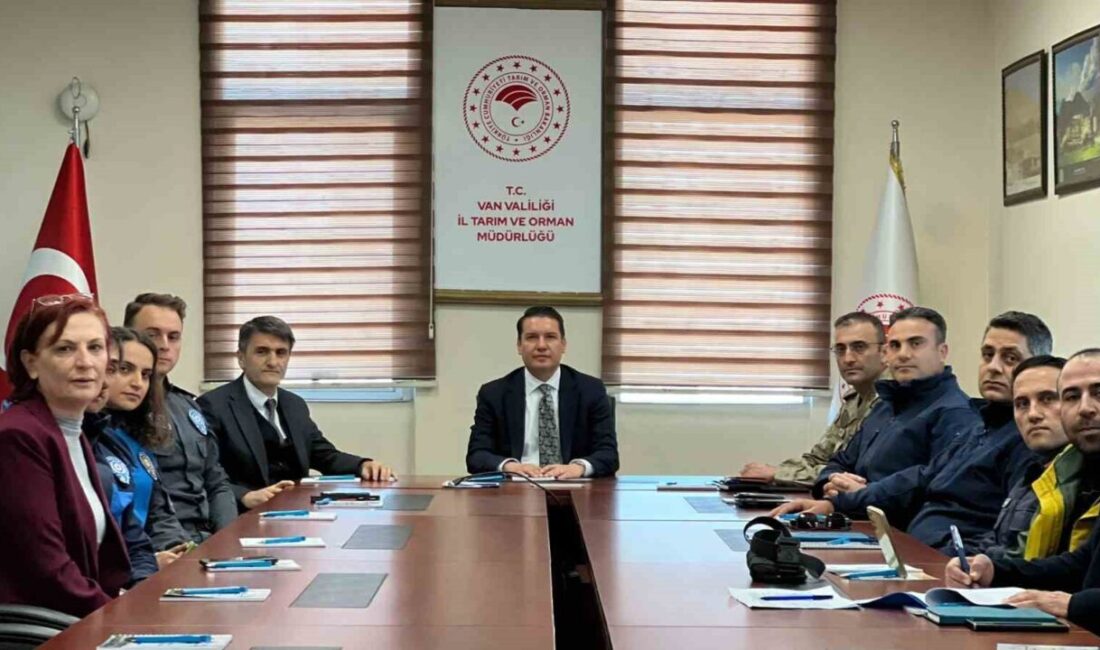 Van’da inci kefalinin korunmasına yönelik çalışmalar kapsamında uygulanan av yasağı