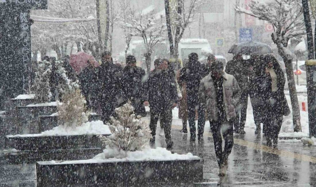 Van’da etkili olan kar yağışı ve yoğun sis, kentte günlük