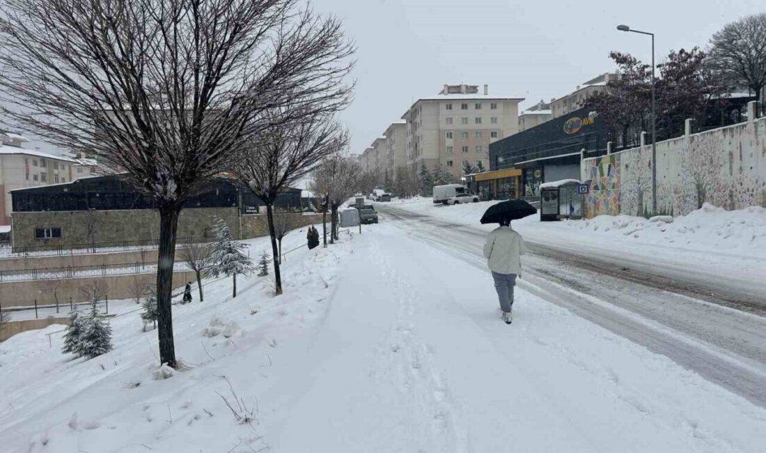 Van’da gece saatlerinden itibaren etkisini artıran yoğun kar yağışı hayatı