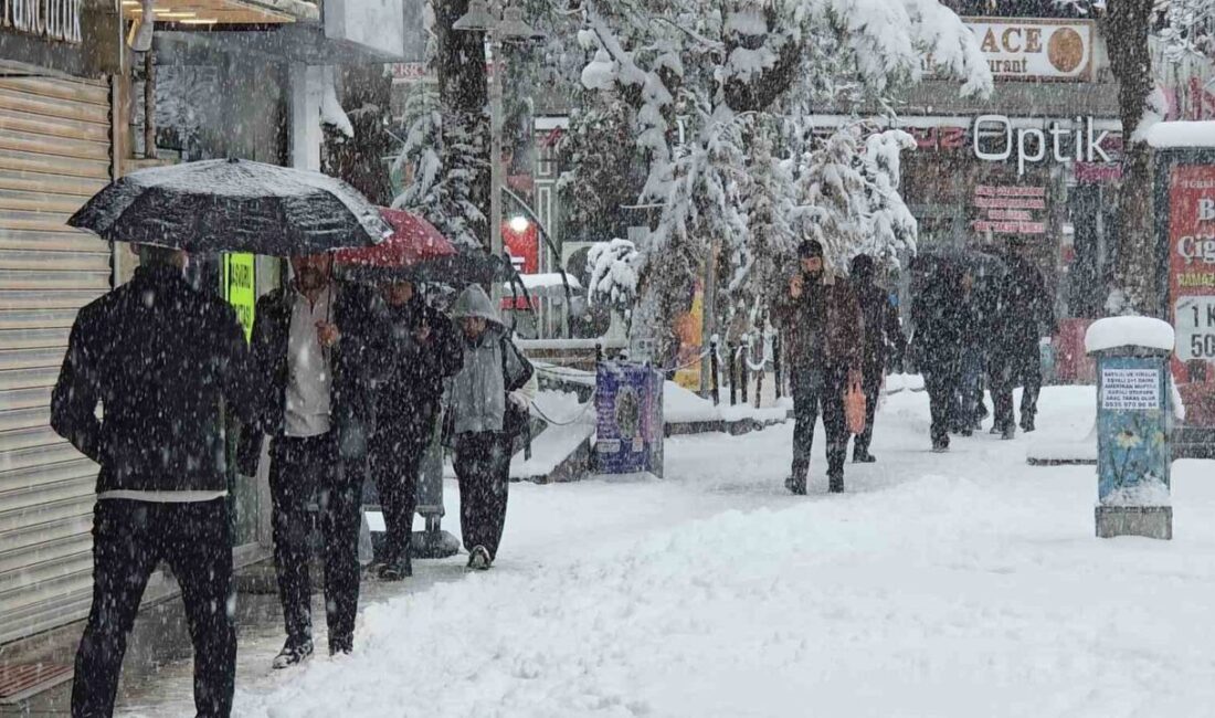 Van’da Mart ayının gelmesiyle birlikte etkili olan soğuk hava ve