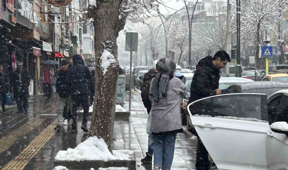 Van’da gece saatlerinden itibaren etkisini artıran yoğun kar yağışı hayatı