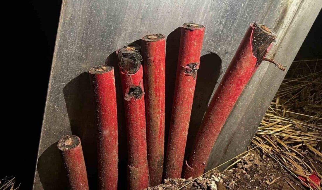 Artvin’in Arhavi ilçesinde yaklaşık 1 milyon TL değerindeki 300 metre