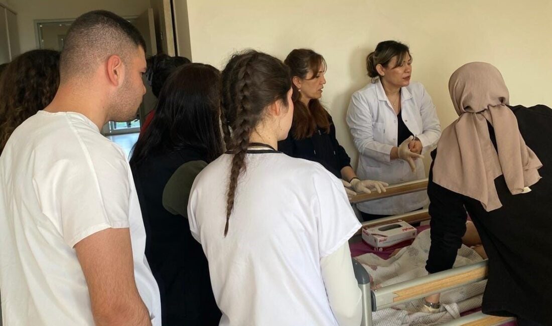 Aydın Adnan Menderes Üniversitesi Nazilli Sağlık Hizmetleri Meslek Yüksekokulu (SHMYO)