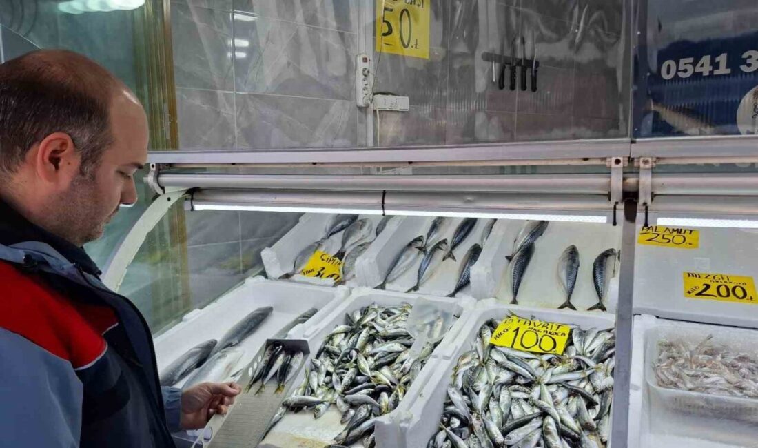 Düzce İl Tarım ve Orman Müdürlüğü ekipleri, 15 Mart’ta başlayacak