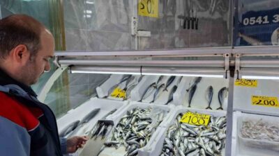 Düzce İl Tarım ve Orman Müdürlüğü ekipleri, 15 Mart’ta başlayacak