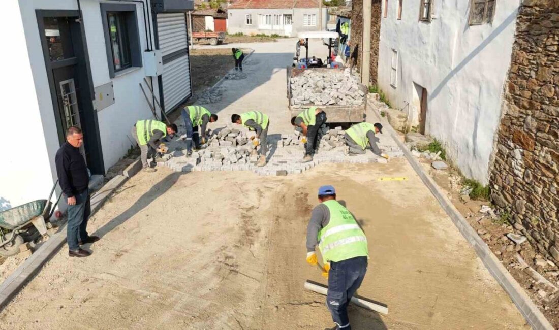 Yenipazar Belediyesi ilçedeki tüm mahallelerde eşzamanlı çalışmalarına devam ediyor. Belediye