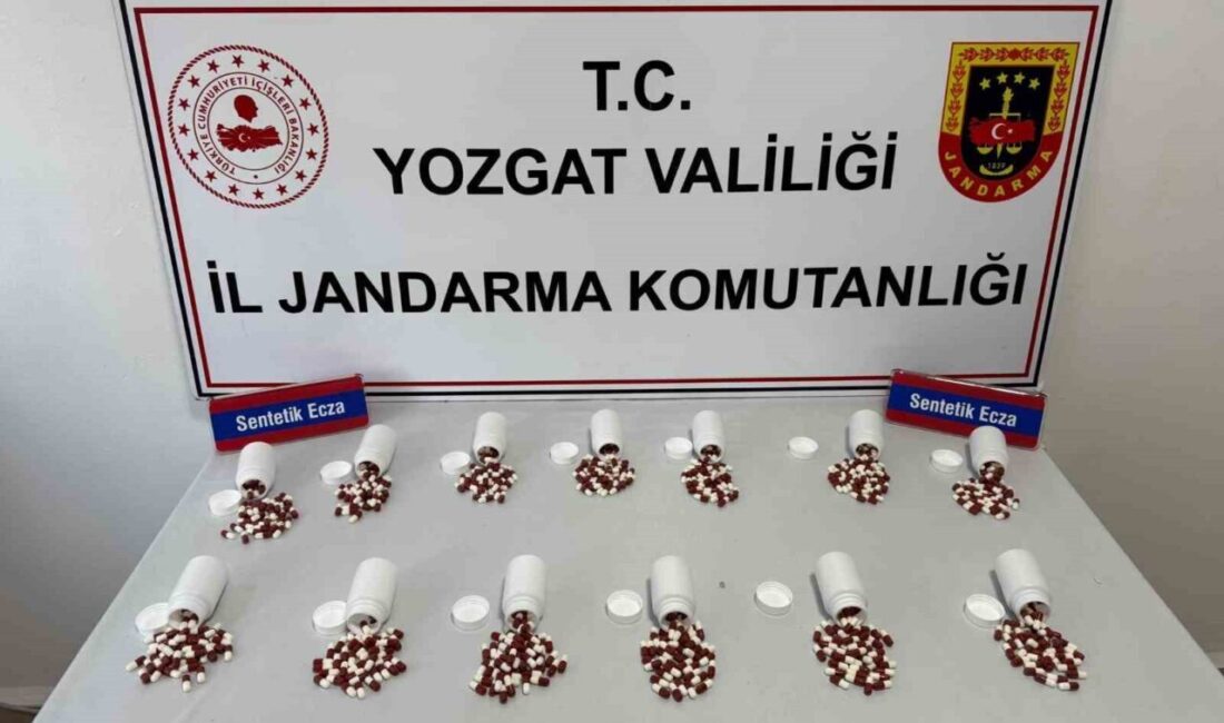 Yozgat’ta düzenlenen operasyonda 745 adet sentetik ecza hap ele geçirildi.