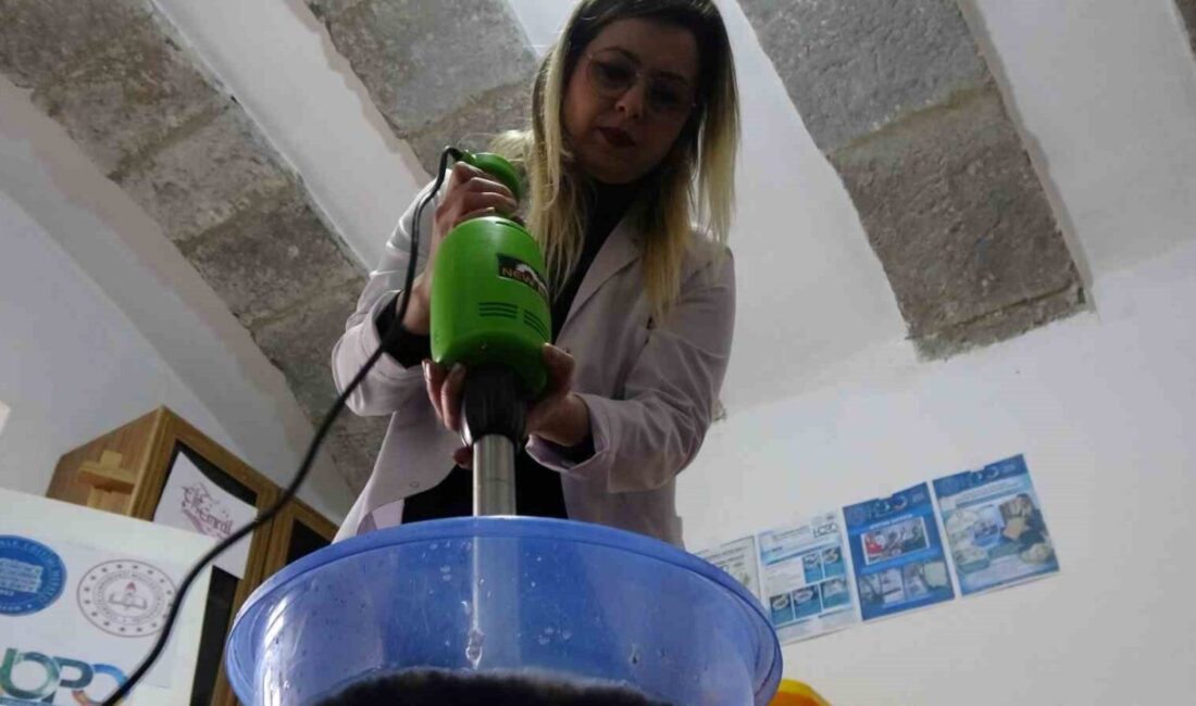 Trabzon’daki Ortahisar Halk Eğitim Merkezi bünyesinde bulunan Alacahan’da geri dönüşüm