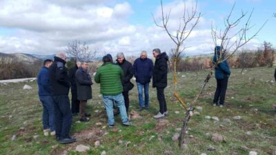 Yunusemre Kent Konseyi, Yuntdağı’nda üretimden pazarlamaya uzanan süreci değerlendirerek kooperatif