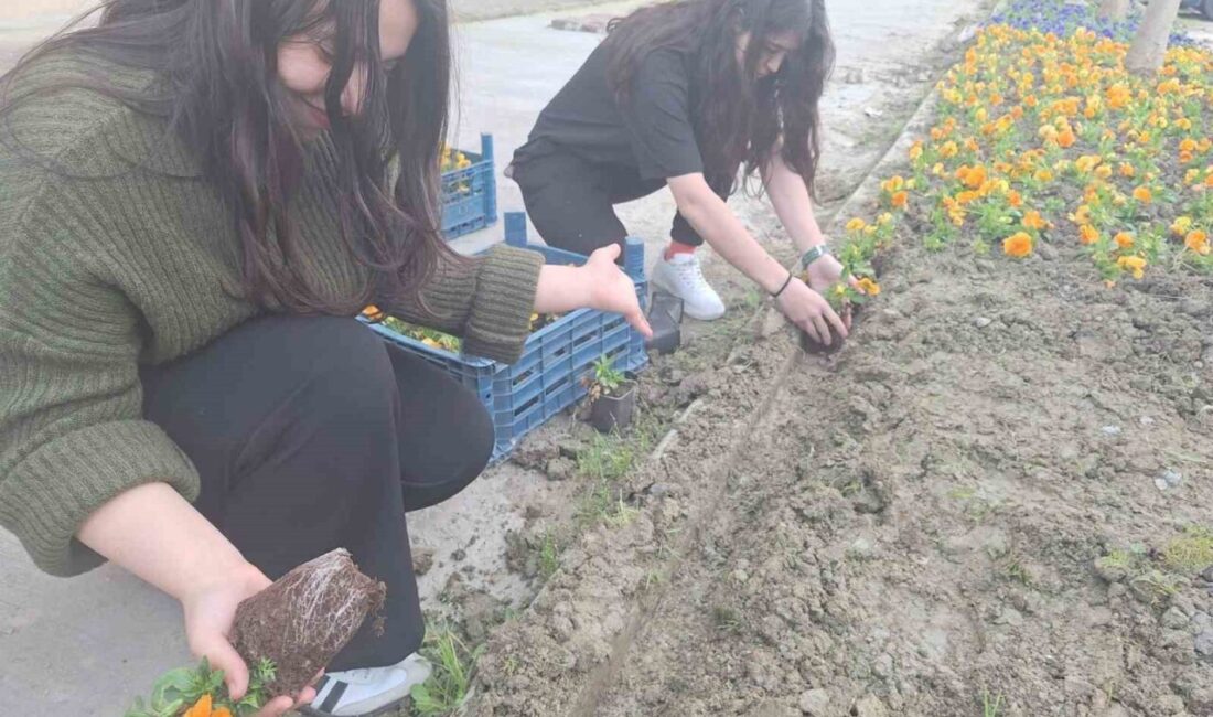 Söke Meryem Yazıcıoğlu Yurt Müdürlüğü’nde gönüllü öğrenciler, baharın gelişiyle birlikte