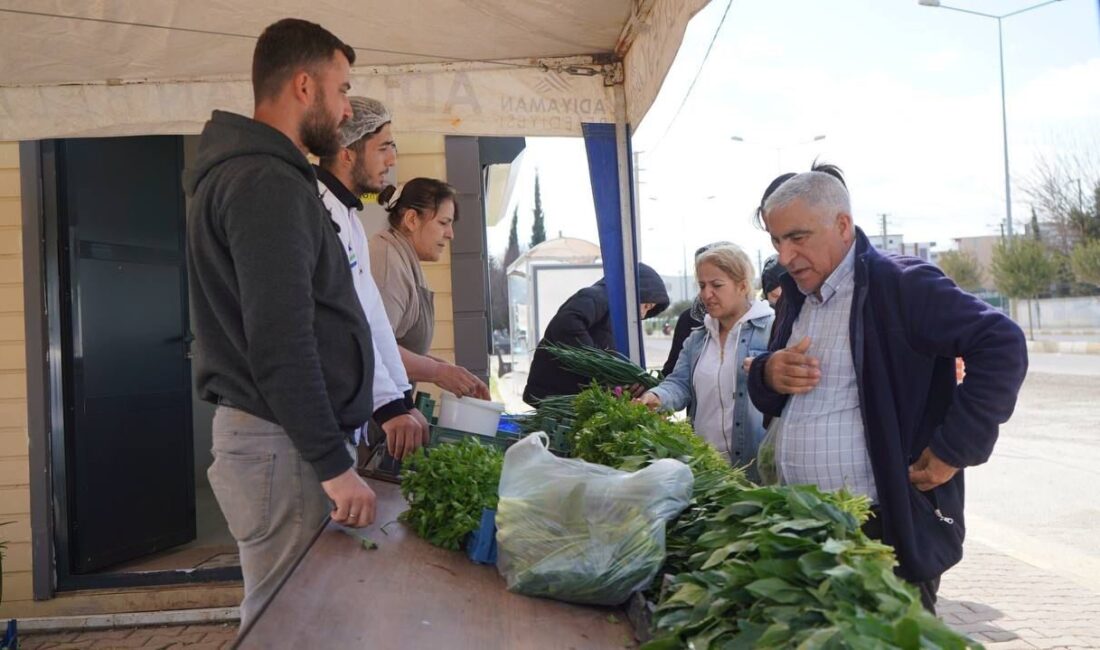Adıyaman Belediyesi tarafından kentte kurulan sebze üretim alanında yetiştirilen ürünler,