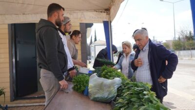 Adıyaman Belediyesi tarafından kentte kurulan sebze üretim alanında yetiştirilen ürünler,