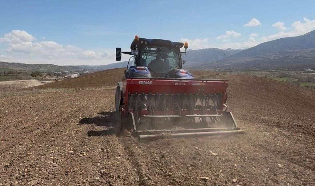 Akıncılar Belediyesi, tarımsal üretime katkı sunmak amacıyla nohut tohumlarını toprakla