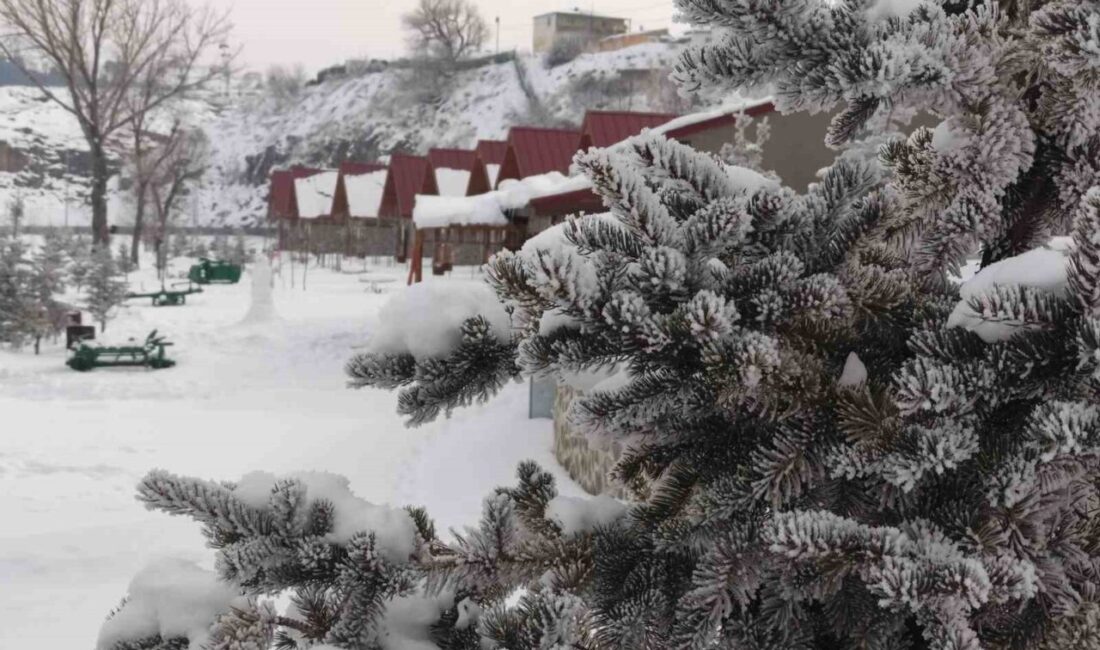 Ardahan’a “bahar geldi” derken tipi şeklinde yağan kar yağışı kent