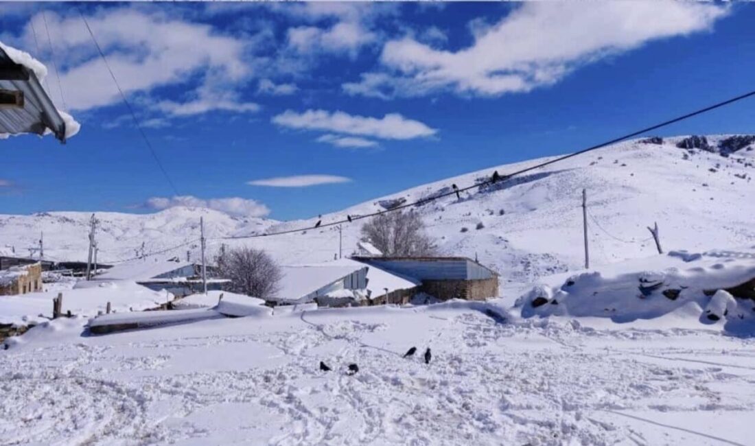 Erzurum’un Aşkale ilçesinde, bahar aylarının yaşandığı Nisan günlerinde beklenmedik kar