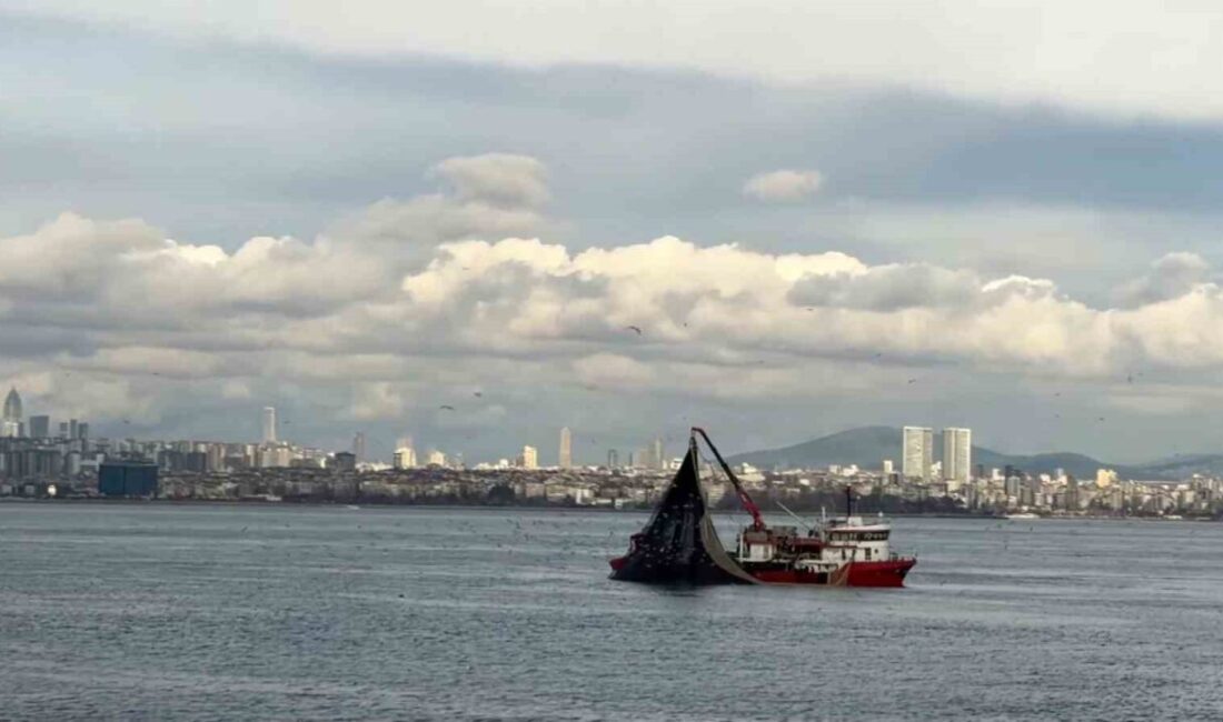 Denizlerde av mevsiminin son günlerinde Marmara’da istavrit bolluğu yaşanıyor. Denizlerde