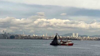 Denizlerde av mevsiminin son günlerinde Marmara’da istavrit bolluğu yaşanıyor. Denizlerde