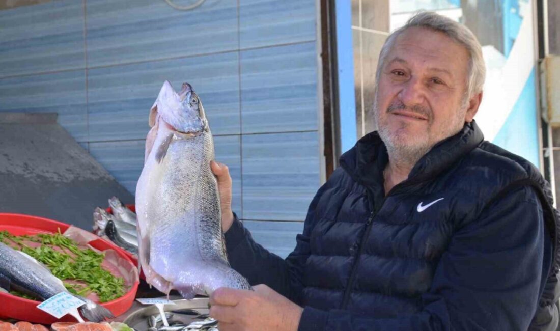 15 Nisan itibariyle başlayan av yasağına rağmen, küçük tekneler ile