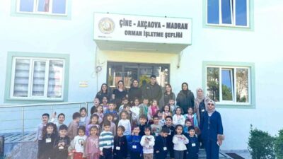 Muğla Orman Bölge Müdürlüğü’ne bağlı Akçaova Mahallesi’nde bulunan Orman İşletme