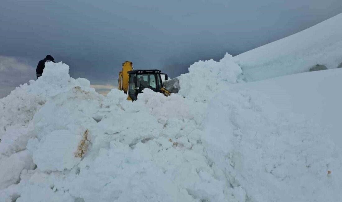 Bitlis’in Adilcevaz ilçesine bağlı Aydınlar beldesinde kar kalınlığının yer yer