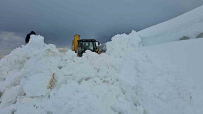 Bitlis’in Adilcevaz ilçesine bağlı Aydınlar beldesinde kar kalınlığının yer yer