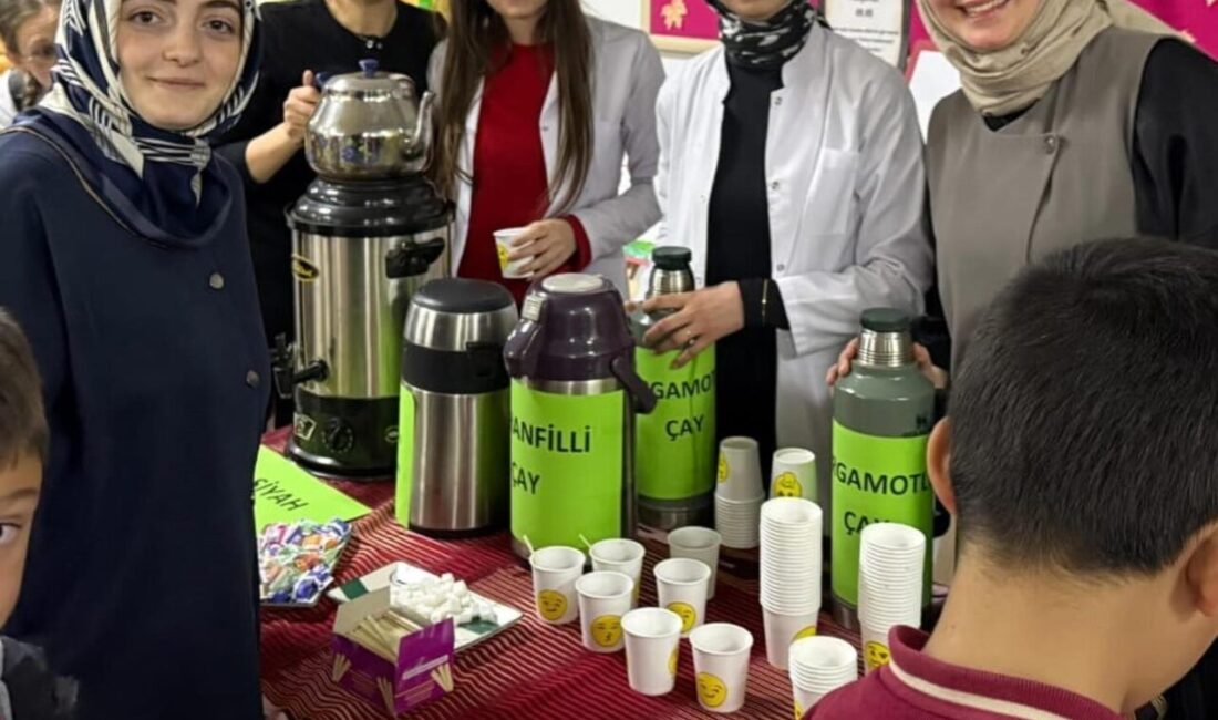 Bayburt’un Aydıntepe ilçesinde öğrencilerin hazırladığı çay festivalinde, çayın üretim süreci