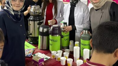 Bayburt’un Aydıntepe ilçesinde öğrencilerin hazırladığı çay festivalinde, çayın üretim süreci