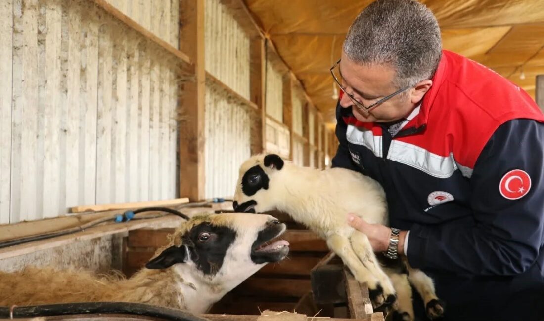 SAMSUN (İHA) – Samsun İl Tarım ve Orman Müdürü Kemal