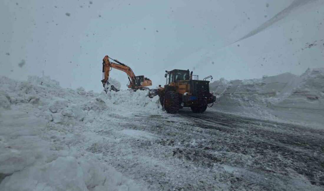 Van’ın Bahçesaray ilçesine ulaşımı sağlayan ve yaklaşık 3 buçuk aydır