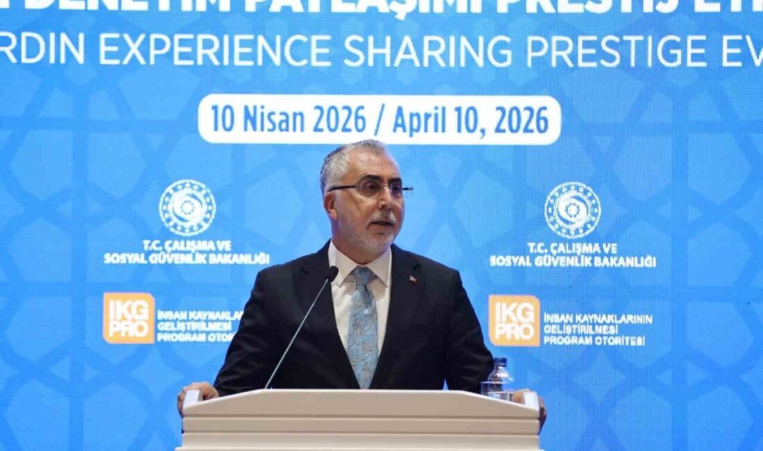 Çalışma ve Sosyal Güvenlik Bakanı Vedat Işıkhan, Dış İlişkiler ve