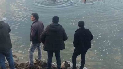 Elazığ’ın Karakoçan ilçesinde sürücüsünün direksiyon hakimiyetini kaybettiği otomobil, Pembelik Baraj