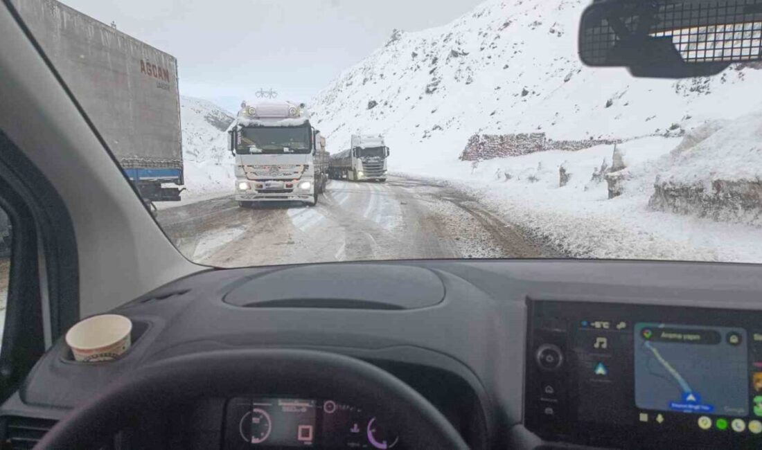 Bingöl-Erzurum kara yolunun yüksek kesimlerinde etkili olan kar yağışı ve