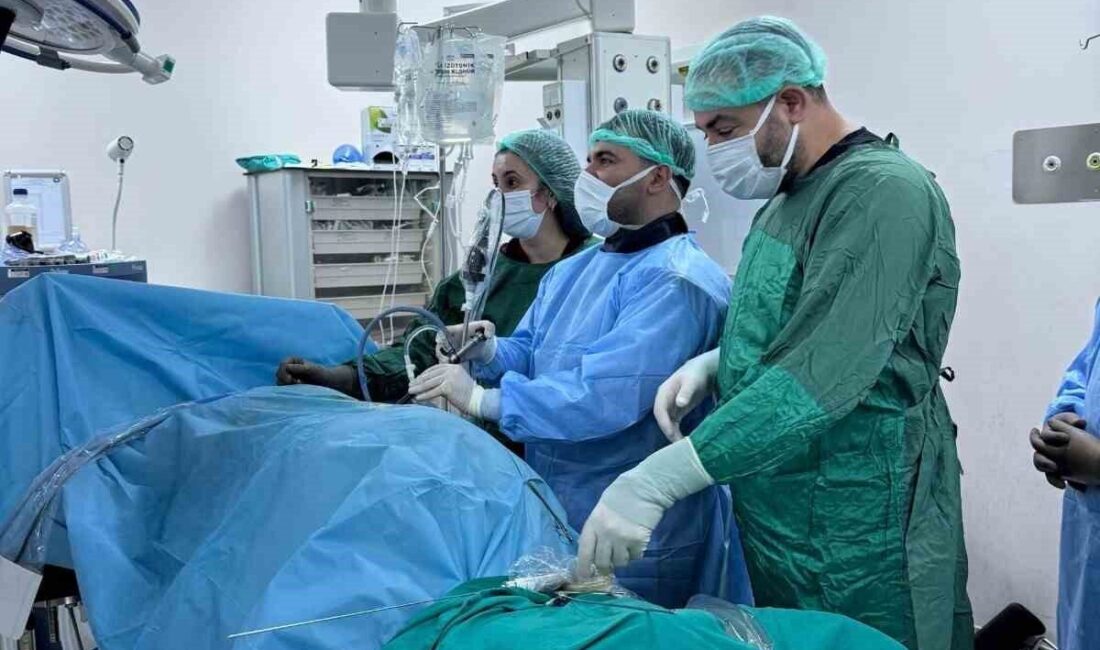 Bingöl Devlet Hastanesi’nde uygulanan Perkütan Nefrolitotomi (PNL) yöntemi sayesinde büyük