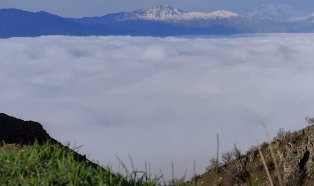Diyarbakır’ın Çüngüş ilçesi Elyos Mahallesi’nde oluşan sis, ortaya seyrine doyumsuz